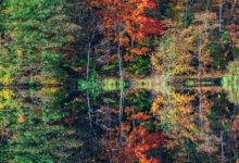 naturopathie automne