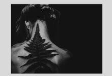 douleur lombaire chronique